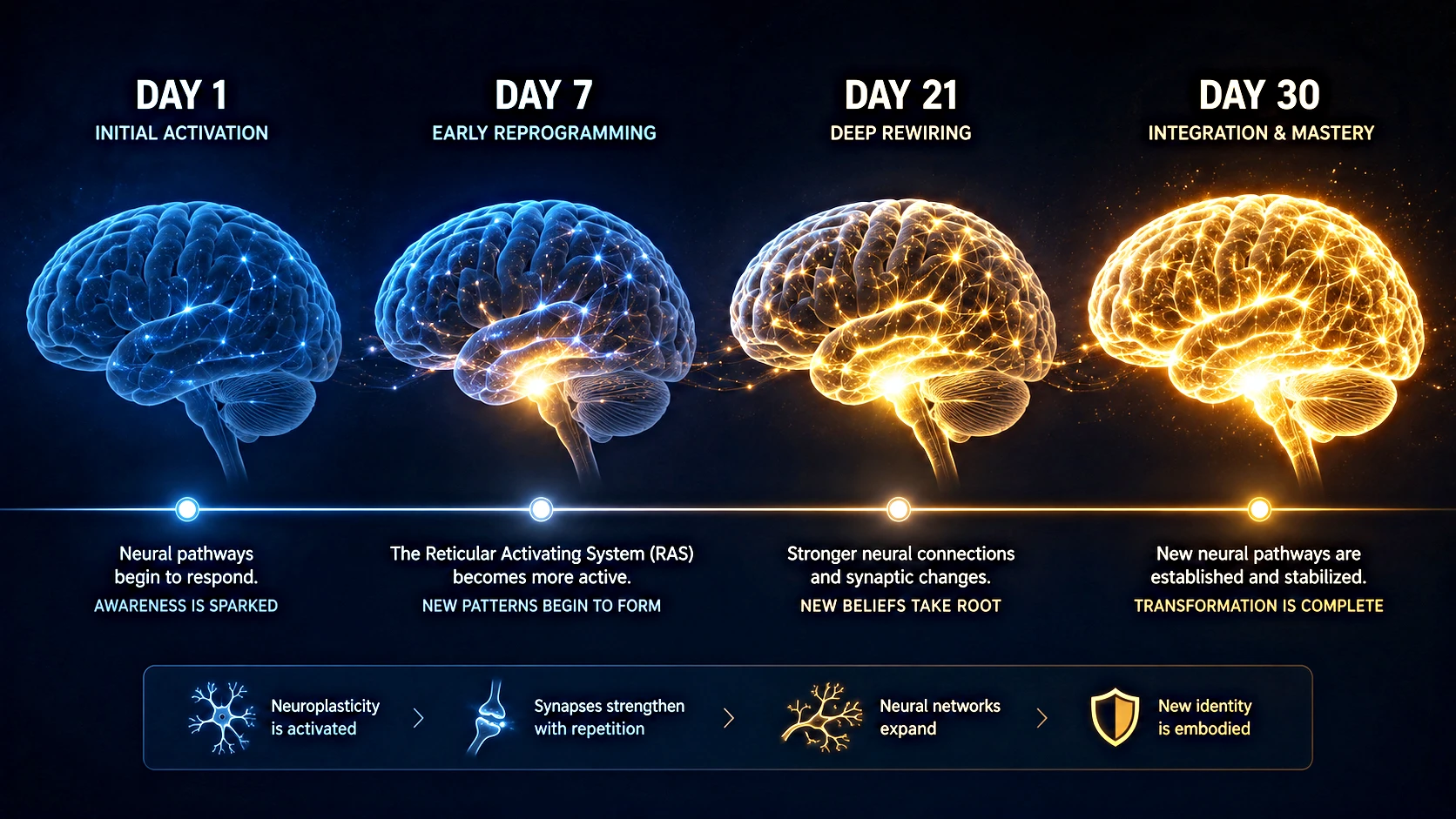 Sitemap 23 What Happens to Your Brain When You Manifest Every Day for 30 Days